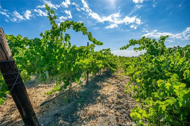 $1,995,000 | 6172 Hawk Ridge Place, San Miguel, CA 93451