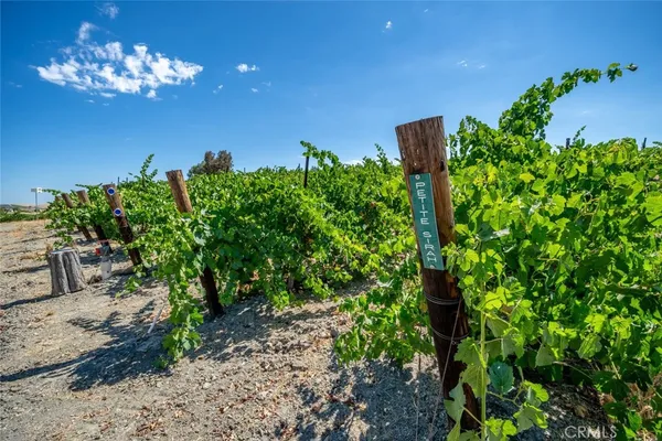 $1,995,000 | 6172 Hawk Ridge Place, San Miguel, CA 93451