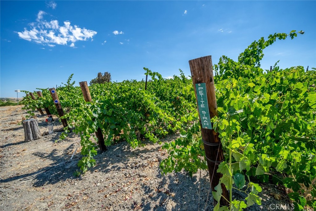 6172 Hawk Ridge Place San Miguel, CA 93451 - Photo 64 of 72