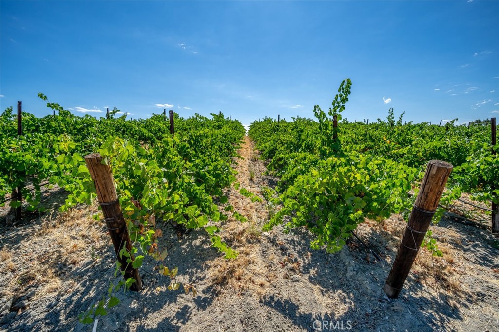 6172 Hawk Ridge Place San Miguel, CA 93451 - Photo 65 of 72