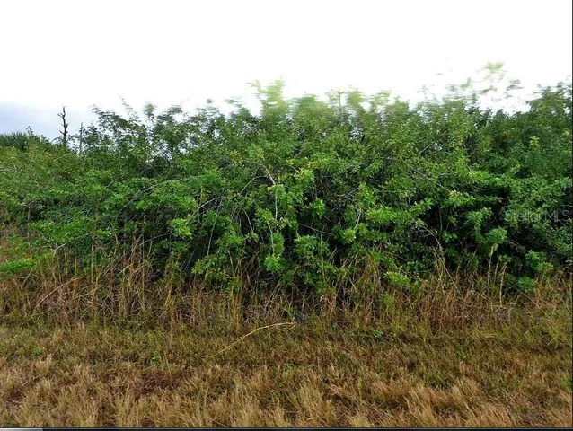 view of a door with a street