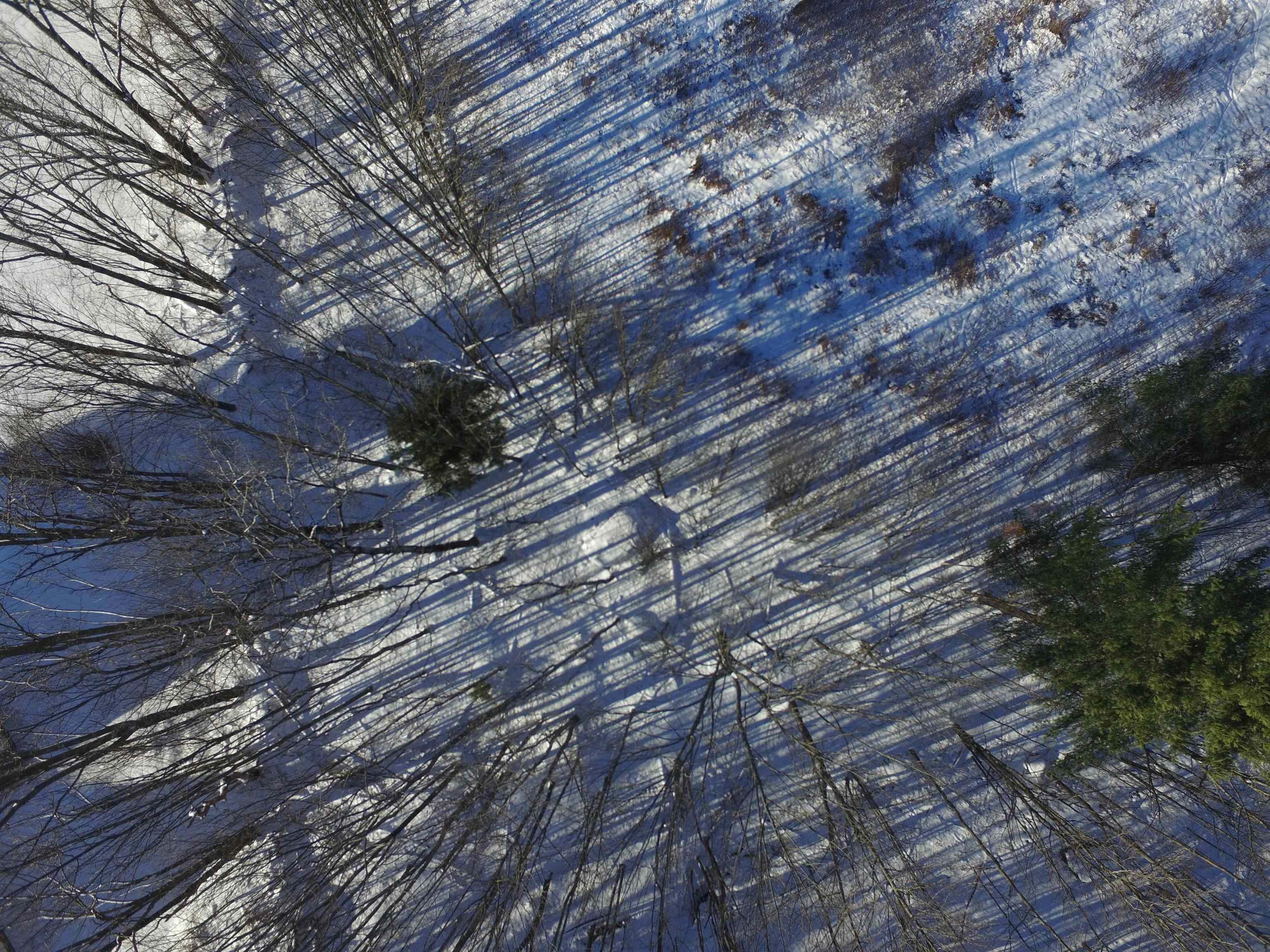 899 Common Road Waitsfield, VT 05673 - Photo 5 of 13 Gallery Image 5