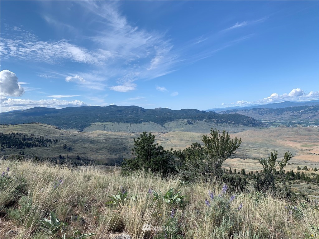 150 Canam Road Oroville, WA 98844 - Photo 12 of 20 Gallery Image 12