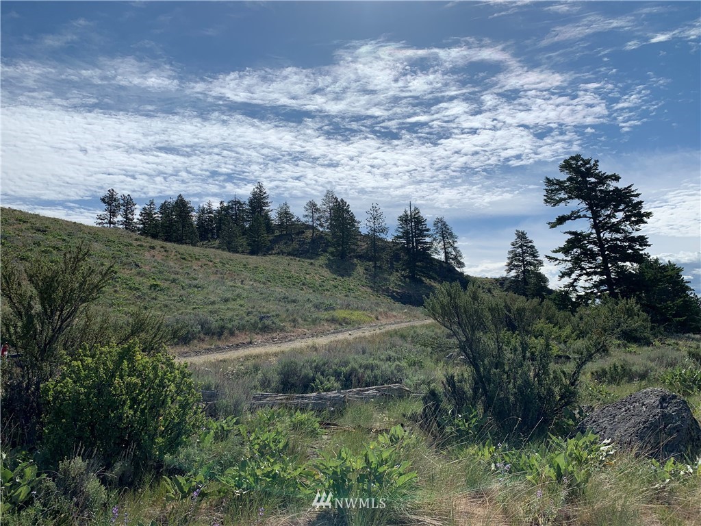 150 Canam Road Oroville, WA 98844 - Photo 14 of 20 Gallery Image 14