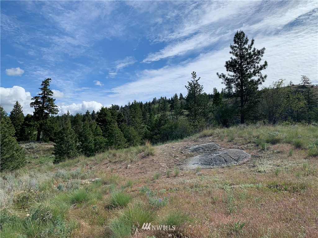 150 Canam Road Oroville, WA 98844 - Photo 3 of 20 Gallery Image 3