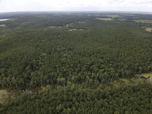 $275,000 | Tbd Johnston Highway, Trenton, SC 29847