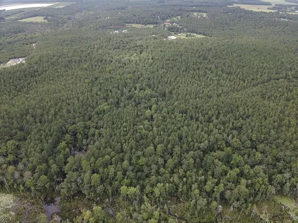 $275,000 | Tbd Johnston Highway, Trenton, SC 29847