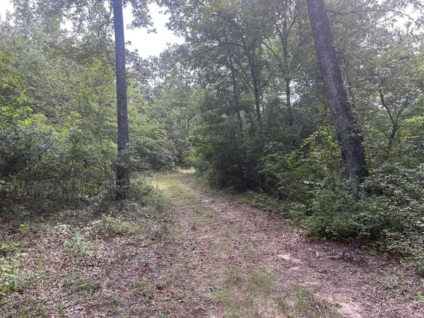 $275,000 | Tbd Johnston Highway, Trenton, SC 29847