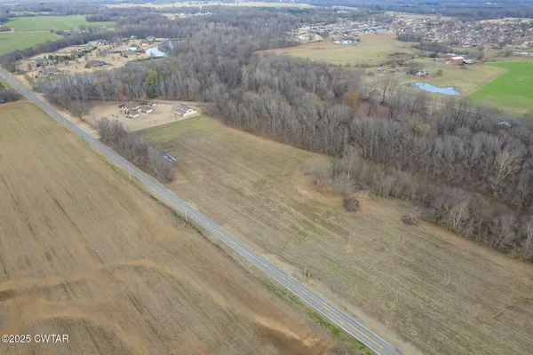 a view of a dry yard