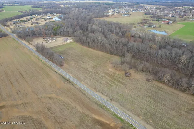 a view of a dry yard