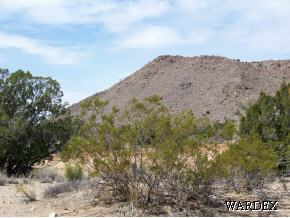 24 A South Cheyenne Road Yucca, AZ 86438 - Photo 1 of 1 Primary Photo