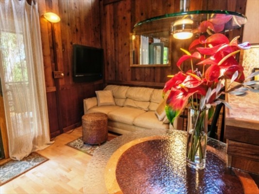 3968 Anini Road, Unit B Princeville, HI 96722 - Photo 9 of 23 a view of a fireplace in a room