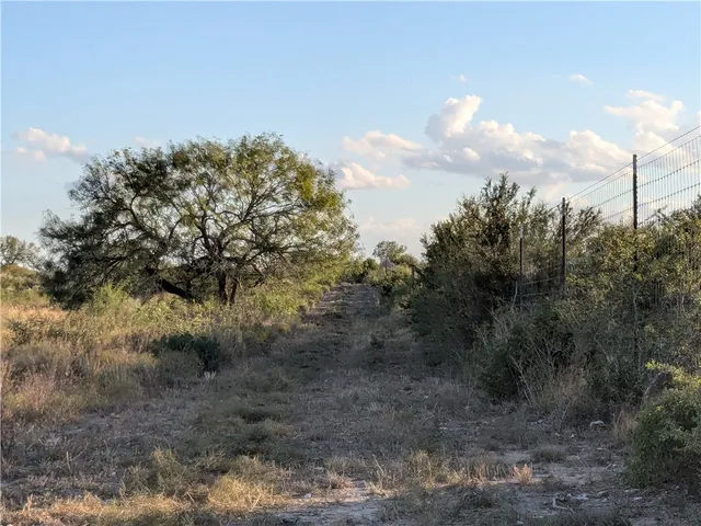 a view of a dry yard with trees in the background