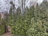 351 County Road Barrington, RI 02806 - Photo 9 of 18