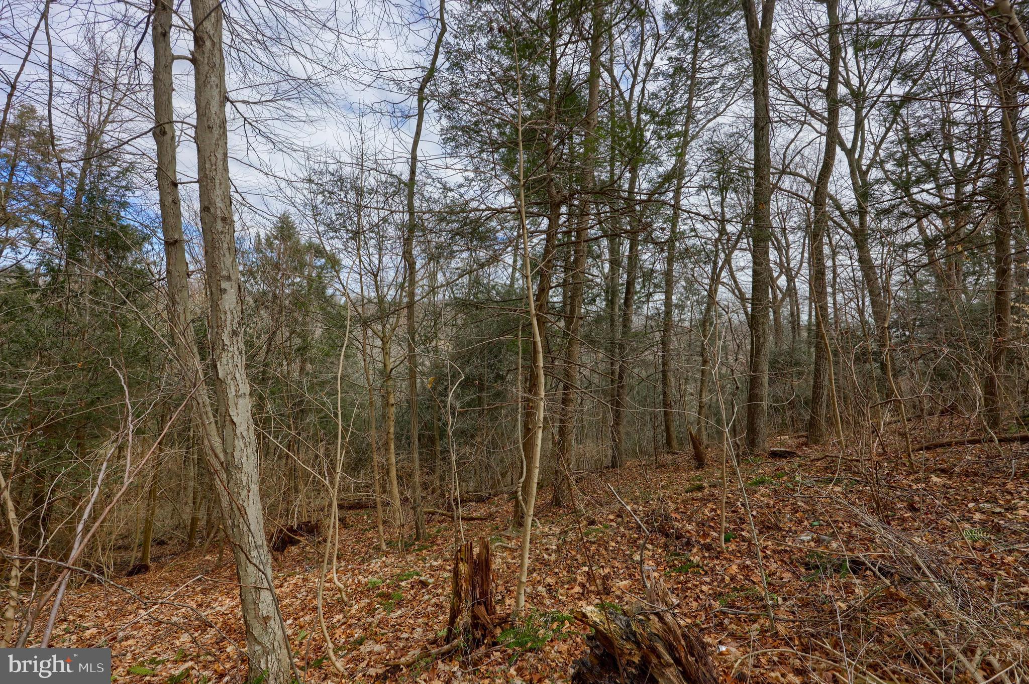 Highview Drive Airville, PA 17302 - Photo 4 of 20