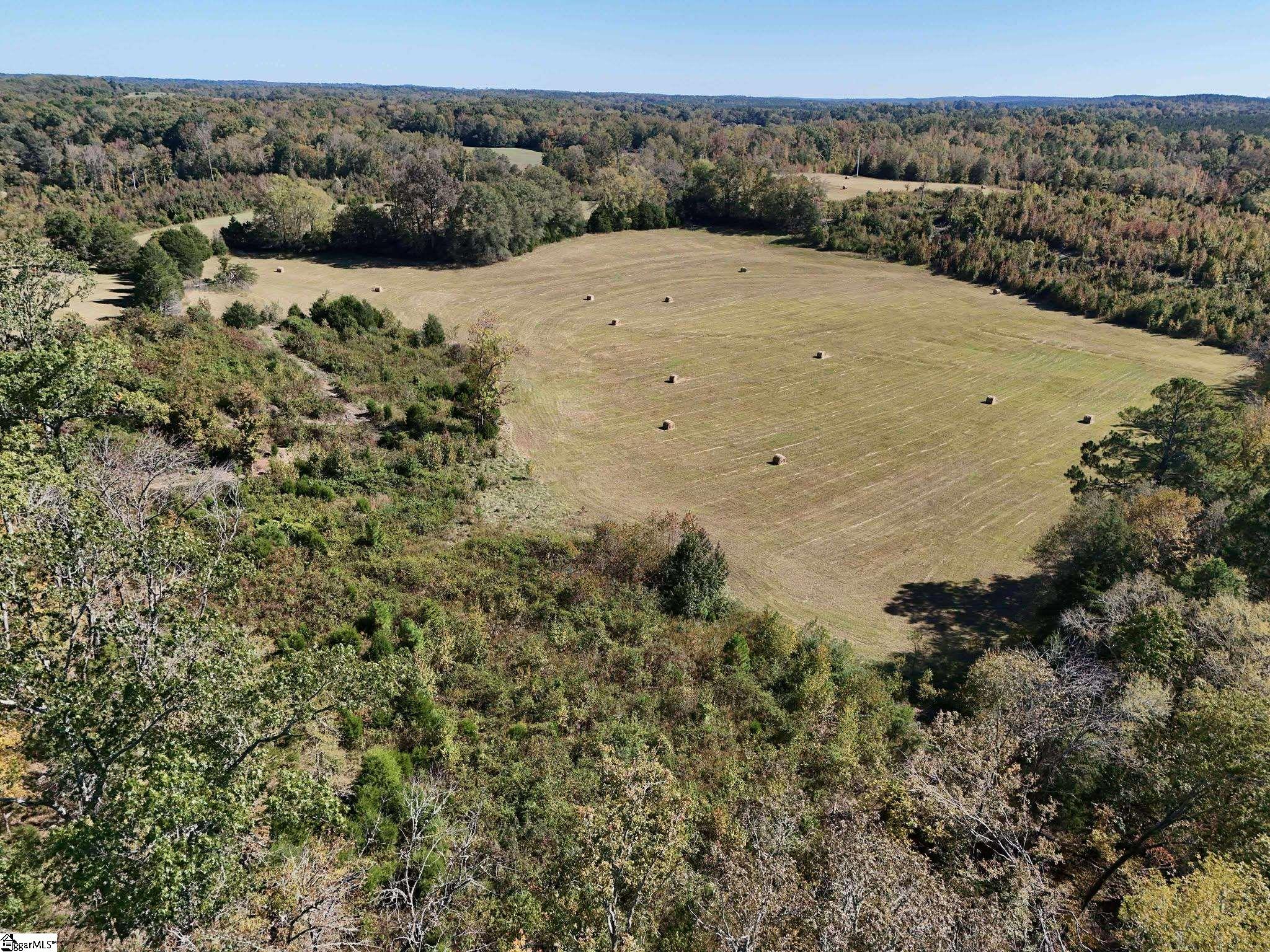 258 Dupree Farm Road Buffalo, SC 29321 - Photo 2 of 15