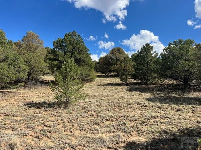 96 River Ridge Trail Walsenburg, CO 81089 - Photo 14 of 28
