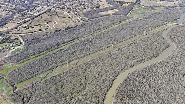 a close up of a plant