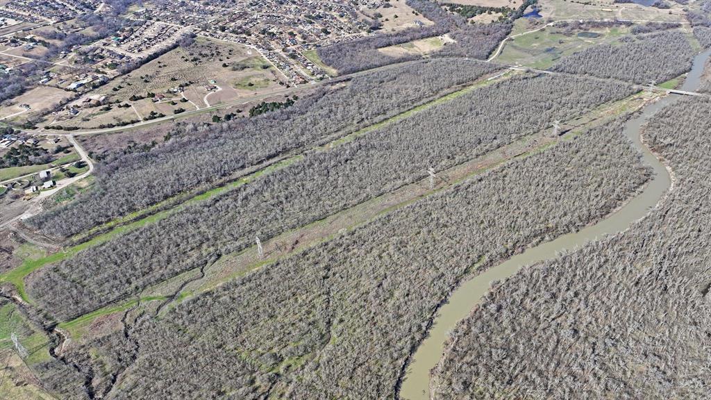 850 East Malloy Bridge Road Seagoville, TX 75159 - Photo 6 of 13 a close up of a plant