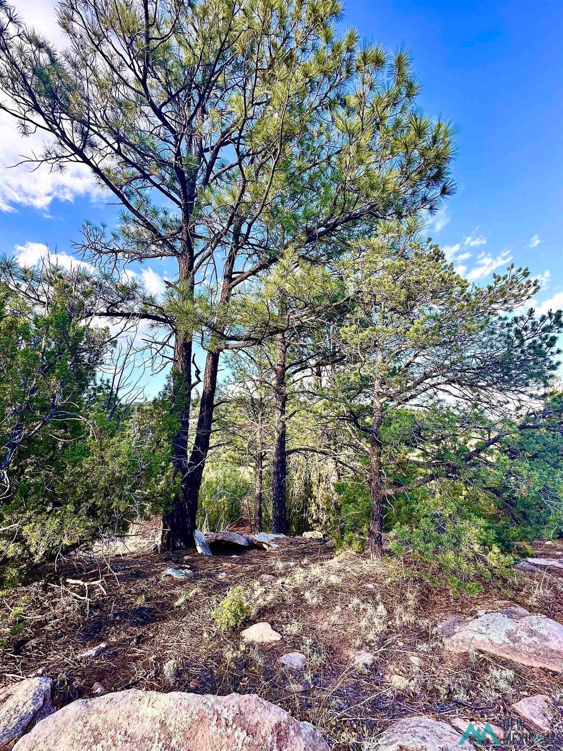 0 West Sena Ranch Road Serafina, NM 87569 - Photo 3 of 26 Gallery Image 3