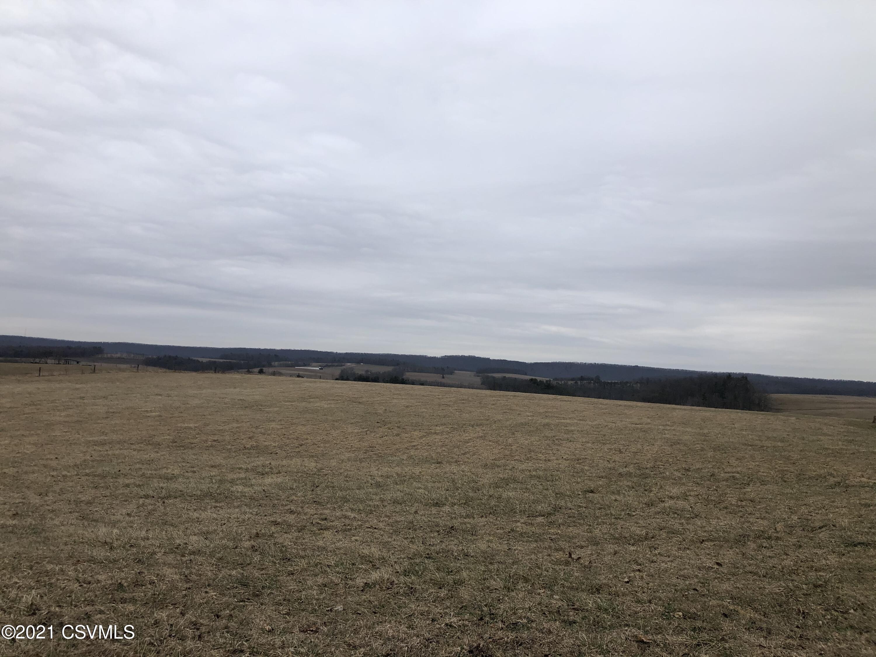 0 Cherry Town Road Dornsife, PA 17823 - Photo 1 of 1 Gallery Image 1