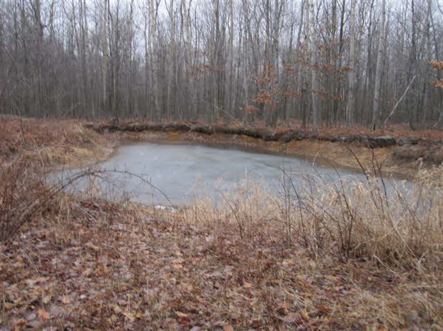 2480 South Iva Road Hemlock, MI 48626 - Photo 11 of 19 20057293-10.JPG
