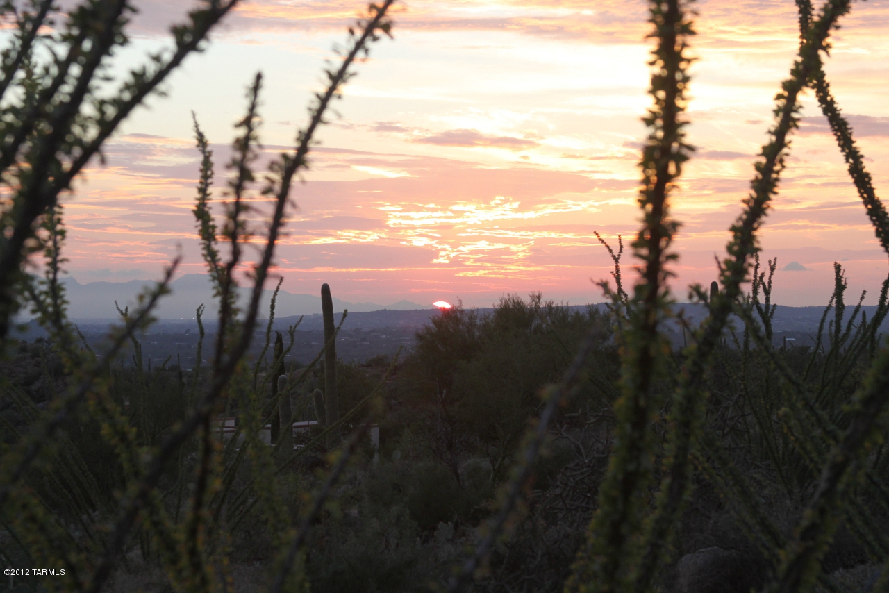 13301 East Scout Rest Road Tucson, AZ 85749 - Photo 20 of 48