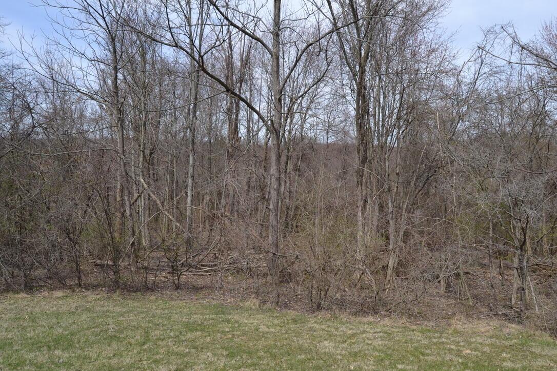12390 Dodds Road Southeast Heath, OH 43056 - Photo 11 of 34 Rear Yard