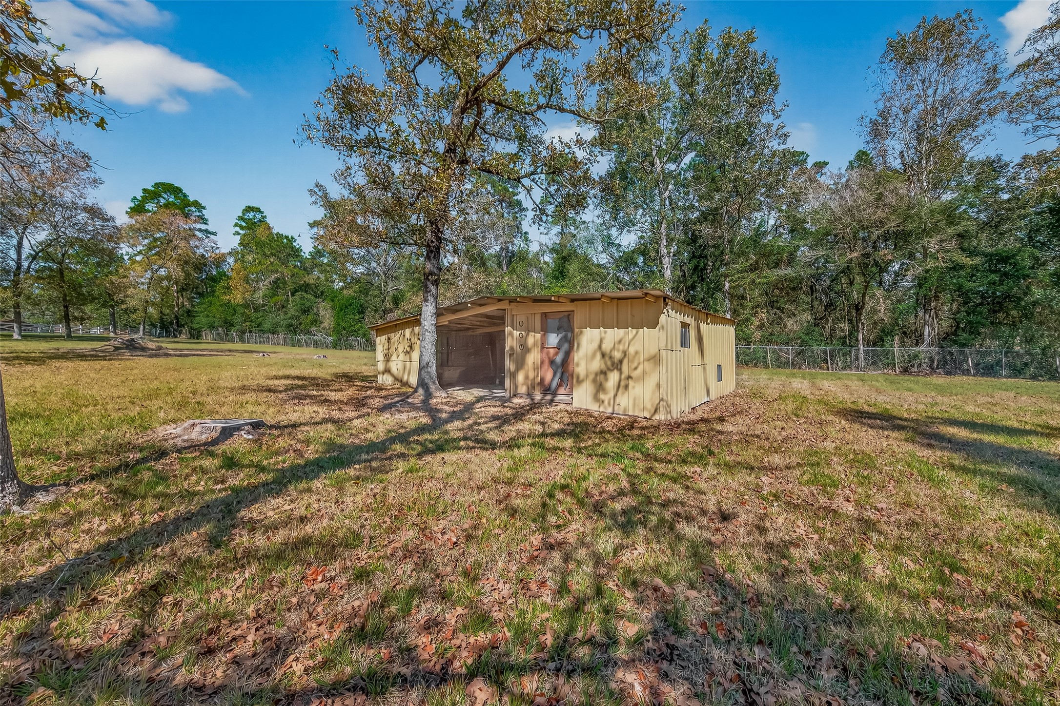 11535 Willis Waukegan Road Conroe, TX 77303 - Photo 45 of 47 a backyard of a house with lots of green space