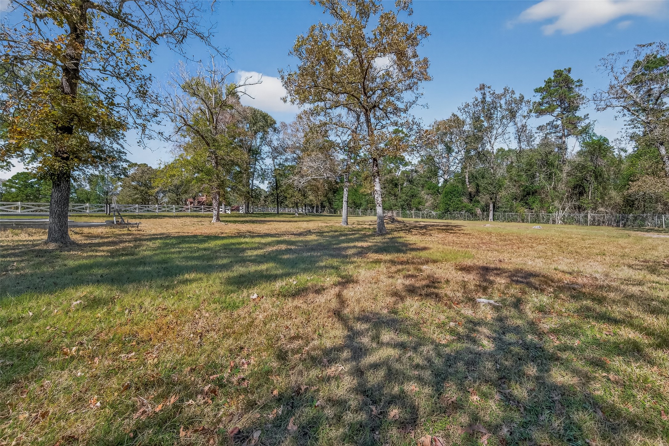 11535 Willis Waukegan Road Conroe, TX 77303 - Photo 47 of 47 a view of outdoor space with trees all around