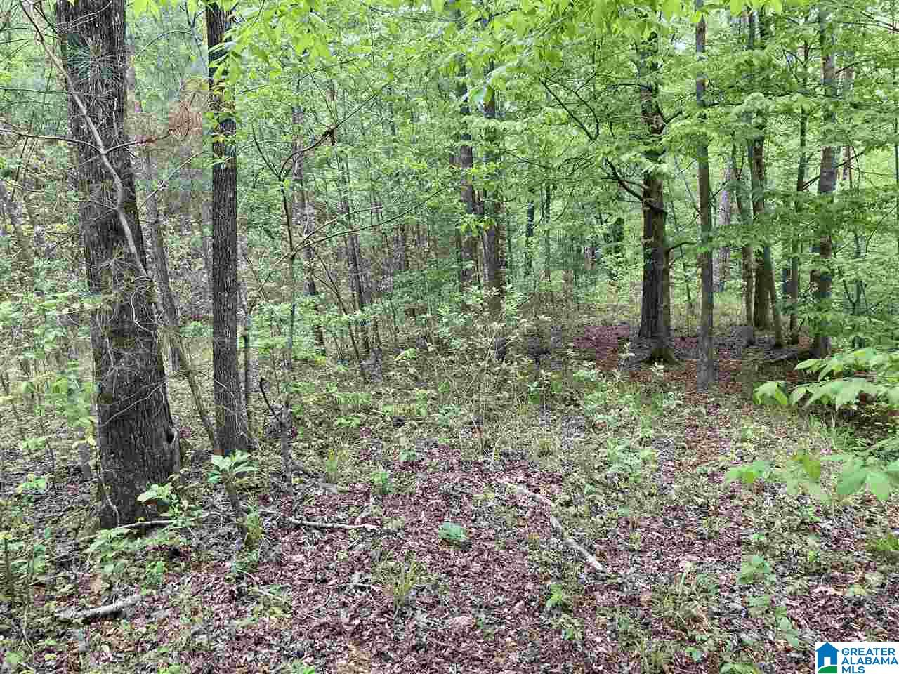 0 Indian Trail Road, Unit 1 Pelham, AL 35124 - Photo 12 of 16 Gallery Image 12