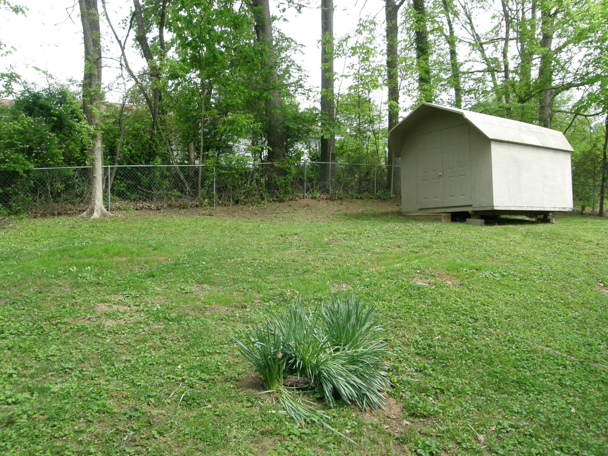 115 Tucker Road Oak Ridge, TN 37830 - Photo 22 of 27 P1013752