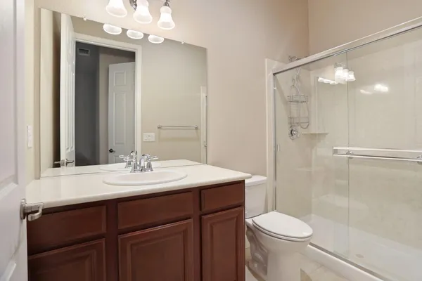 a view of a backyard with plants