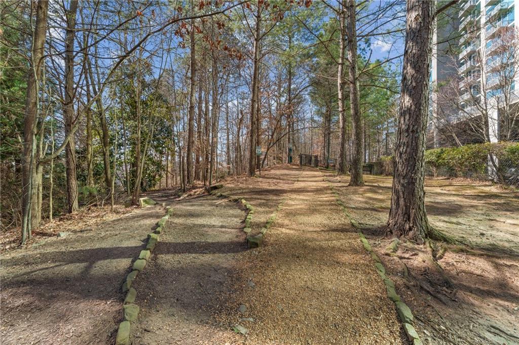 3300 Windy Ridge Parkway Southeast, Unit 809 Atlanta, GA 30339 - Photo 30 of 30 a view of a yard with large trees