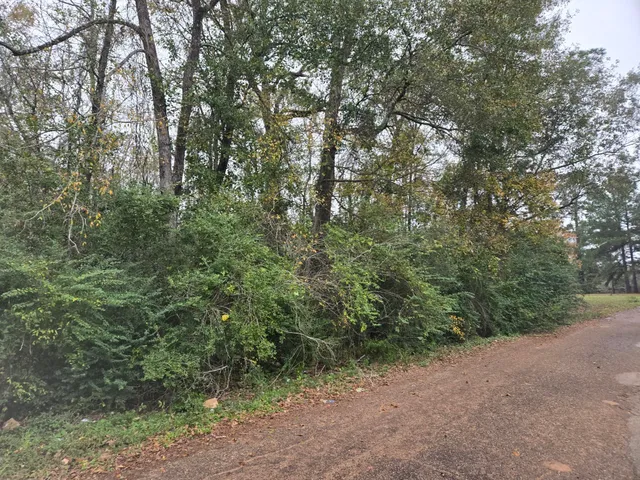 $250,000 | 19515 Pine Haven Road Drive, Conroe, TX 77385