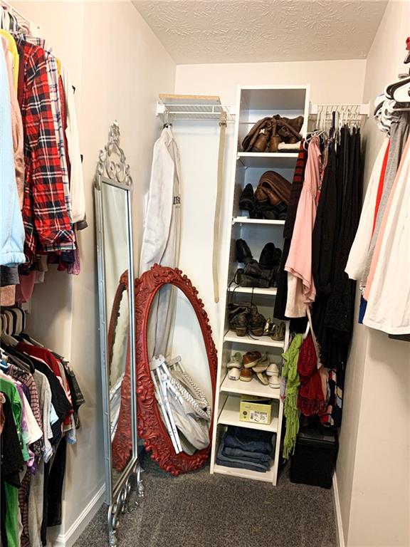 1288 Summer Ridge Lane Brownsburg, IN 46112 - Photo 37 of 52