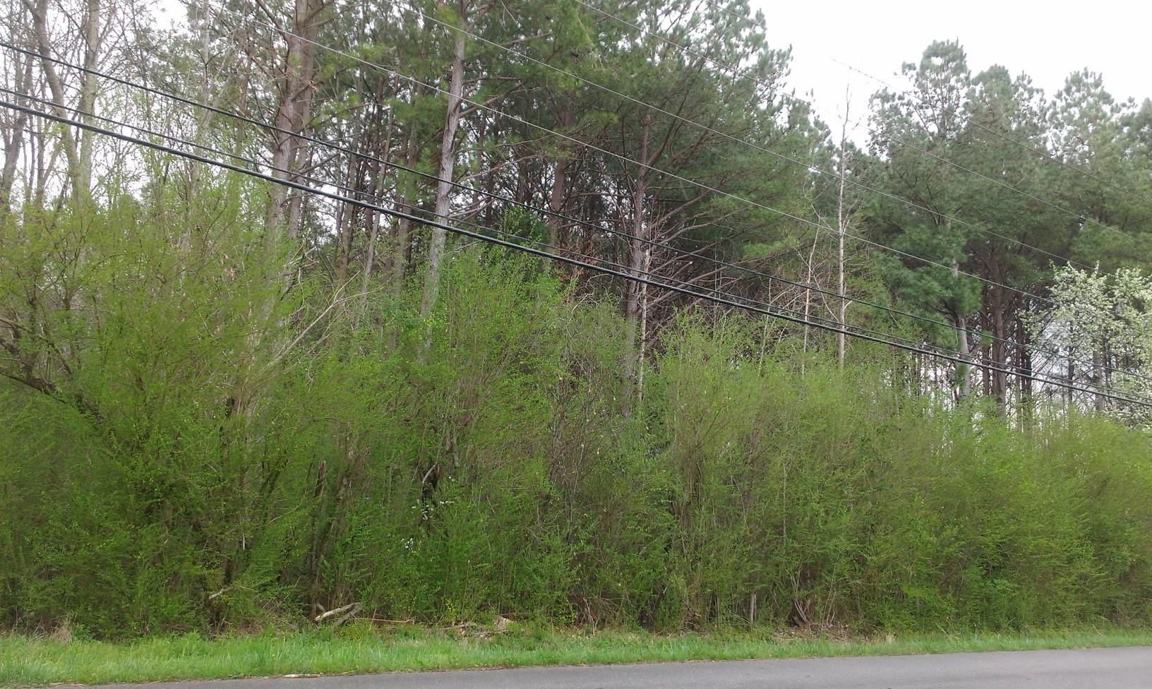 0 Grubb Road Hixson, TN 37343 - Photo 3 of 4 Gallery Image 3