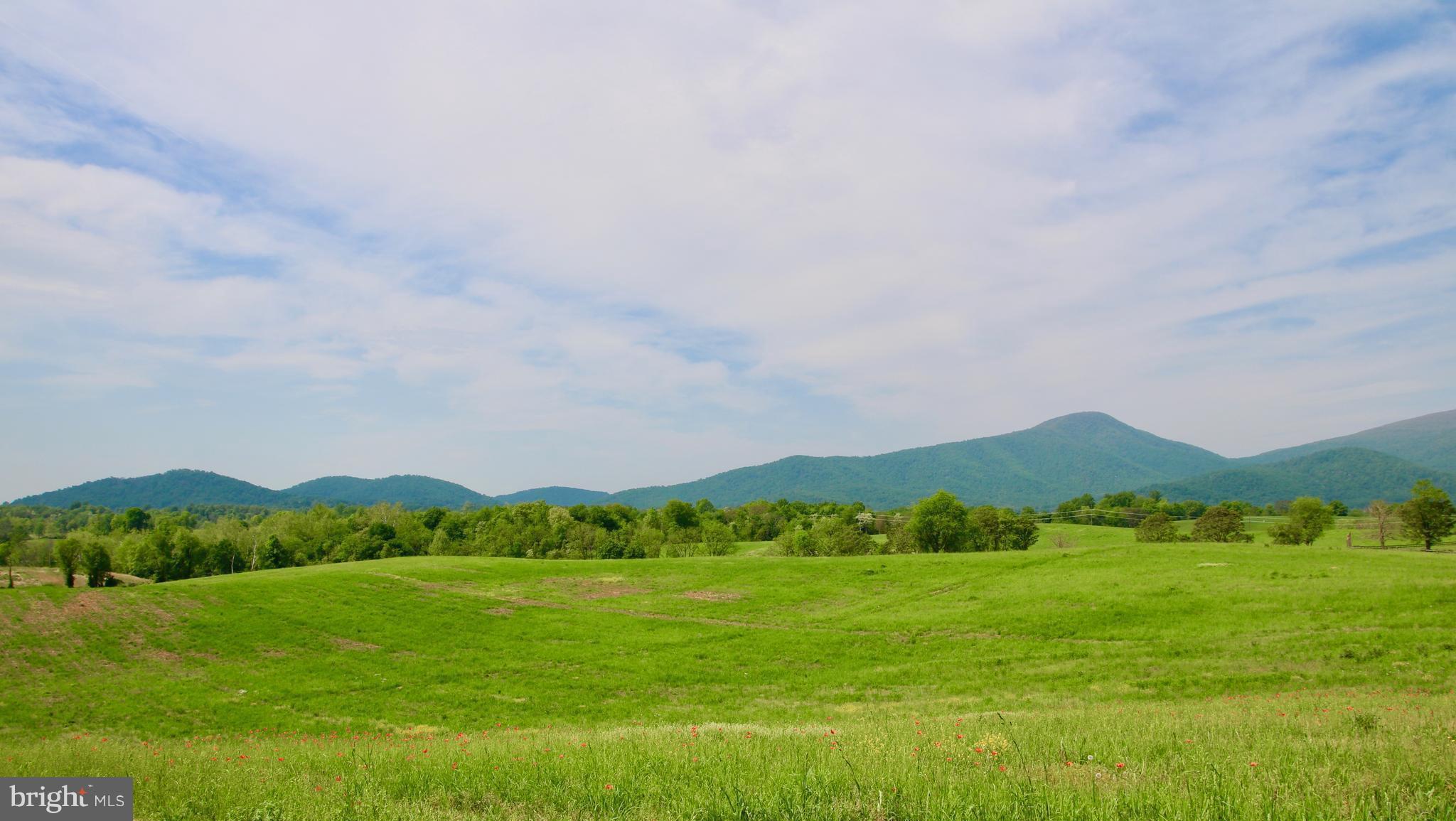 0 Jericho Road Flint Hill, VA 22627 - Photo 1 of 23 View of the Peak
