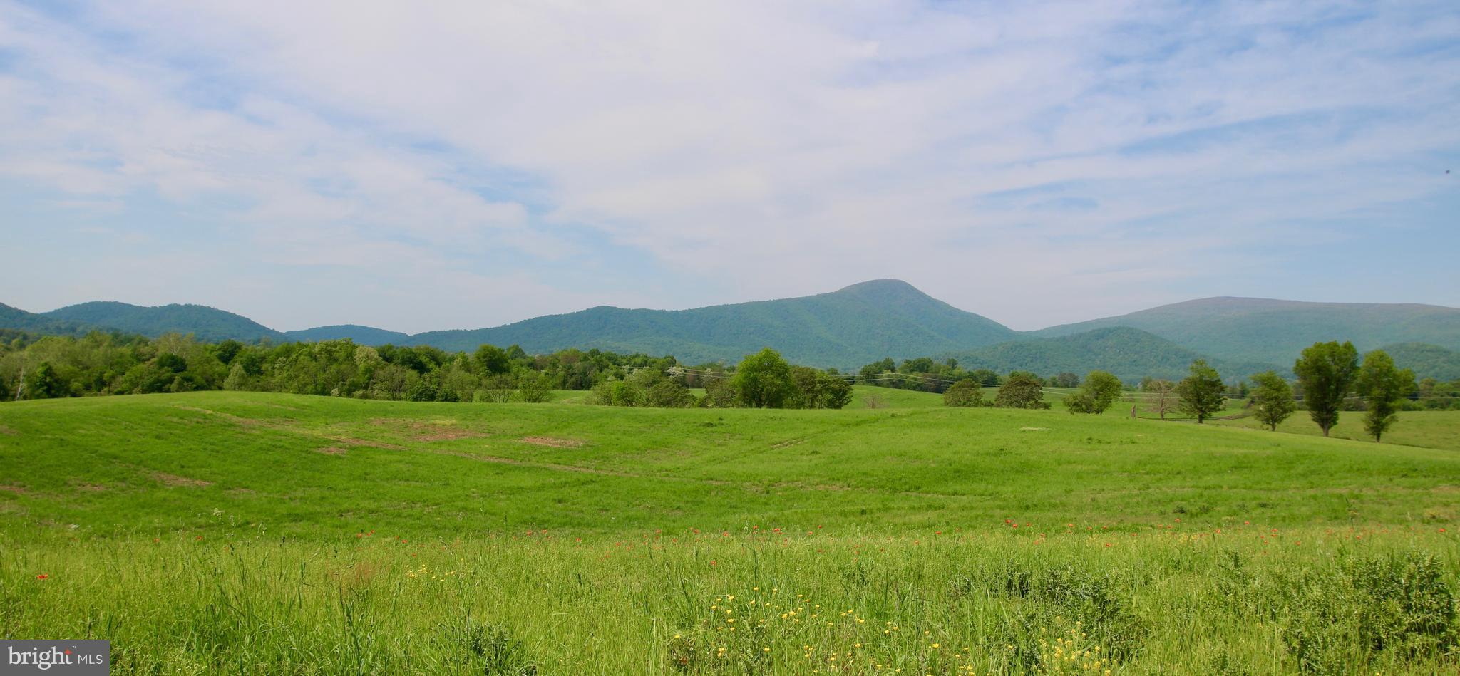 0 Jericho Road Flint Hill, VA 22627 - Photo 12 of 23 IN VOF Easement