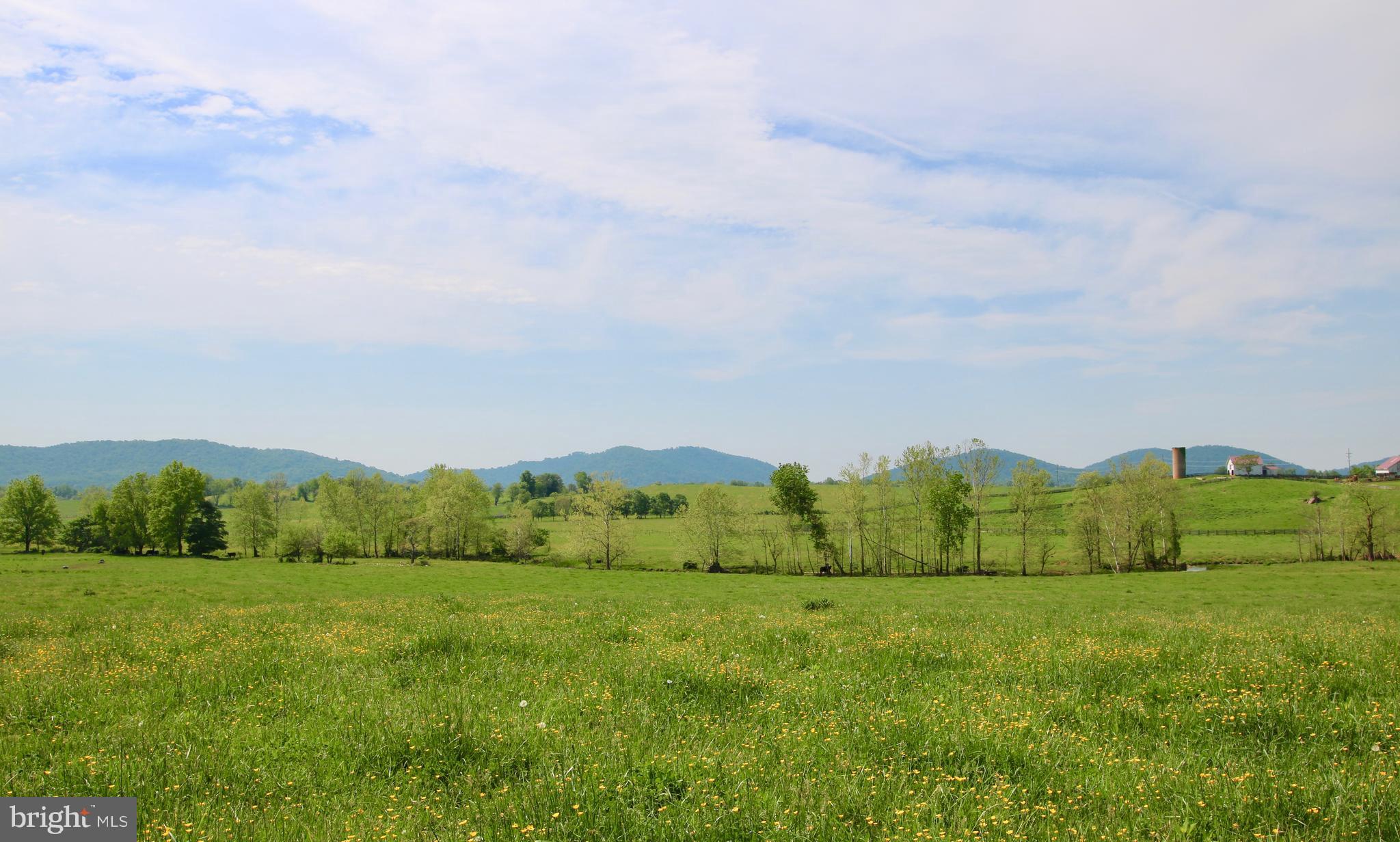 0 Jericho Road Flint Hill, VA 22627 - Photo 13 of 23 Open Skys