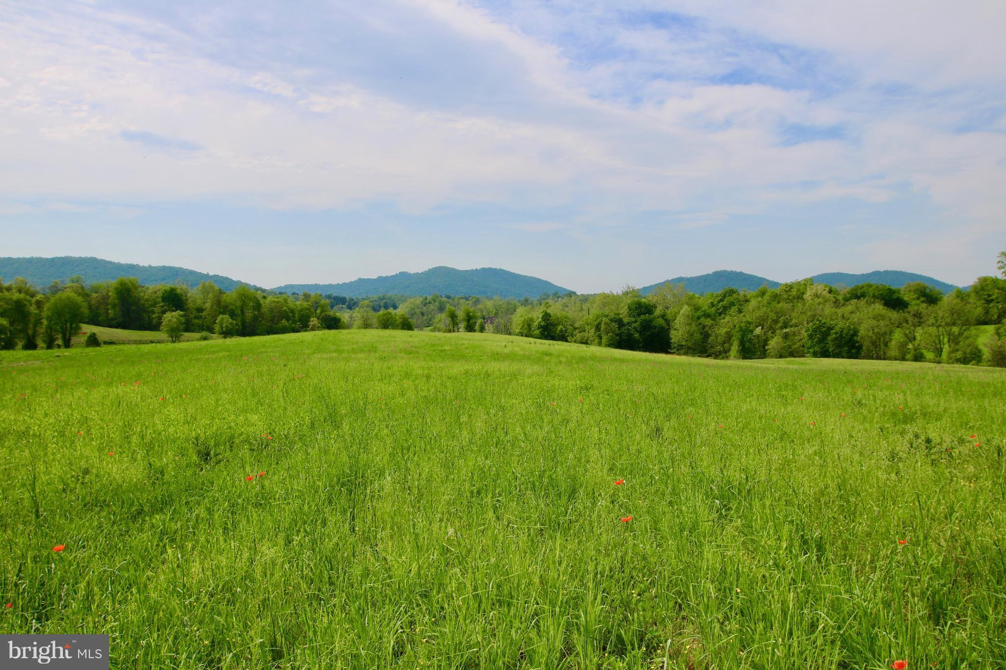 0 Jericho Road Flint Hill, VA 22627 - Photo 4 of 23 Pristine Farmland