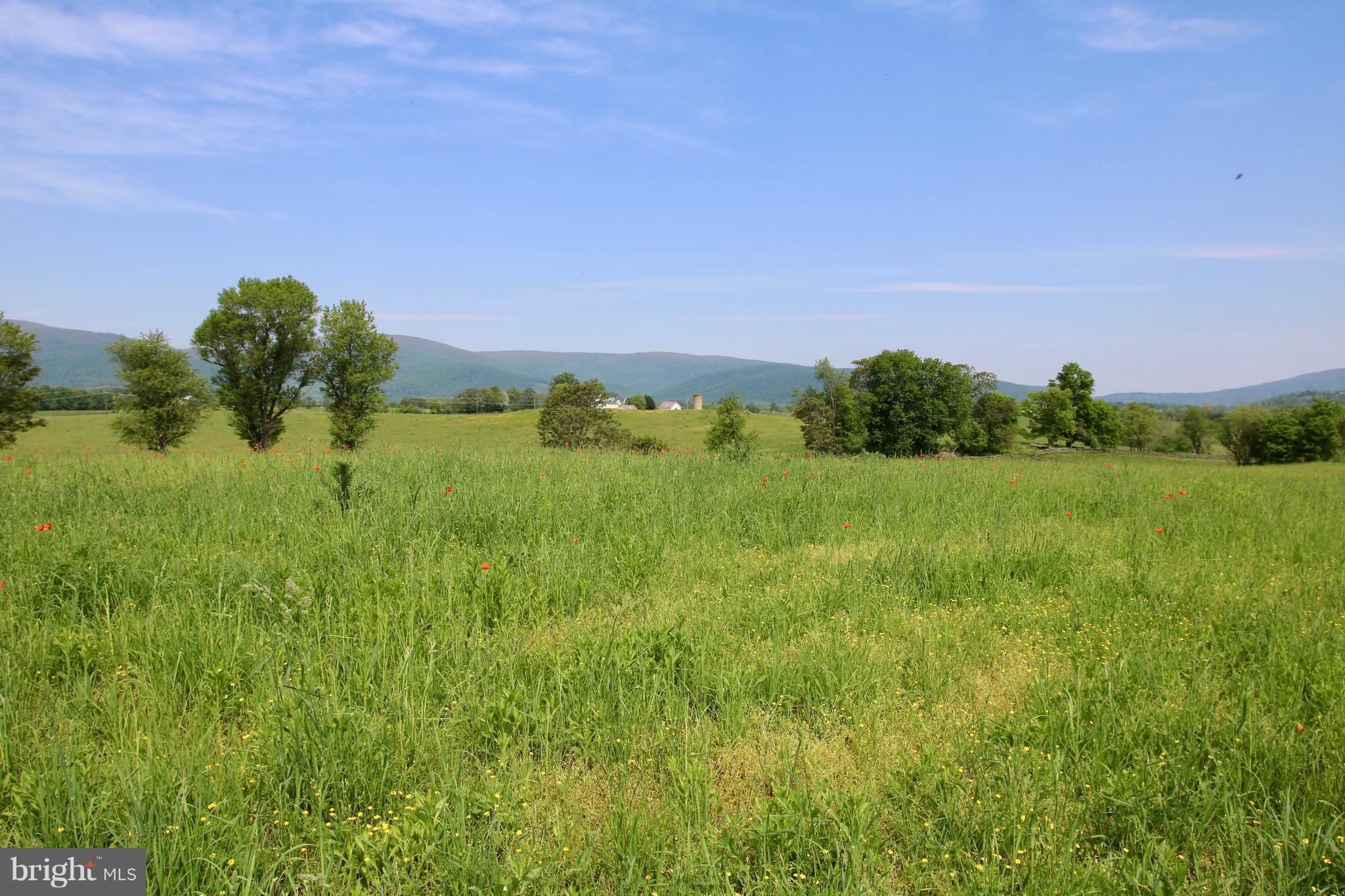 0 Jericho Road Flint Hill, VA 22627 - Photo 6 of 23 Level