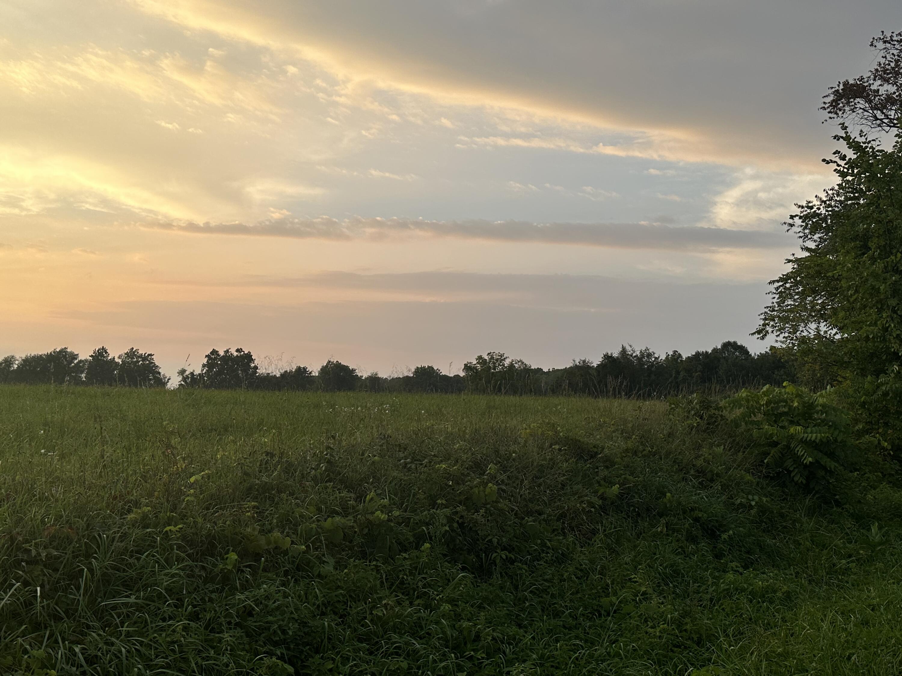 Hills Road Buchanan, MI 49107 - Photo 4 of 7 1512AA53-A2F1-4CE9-8000-1481D1E2F427
