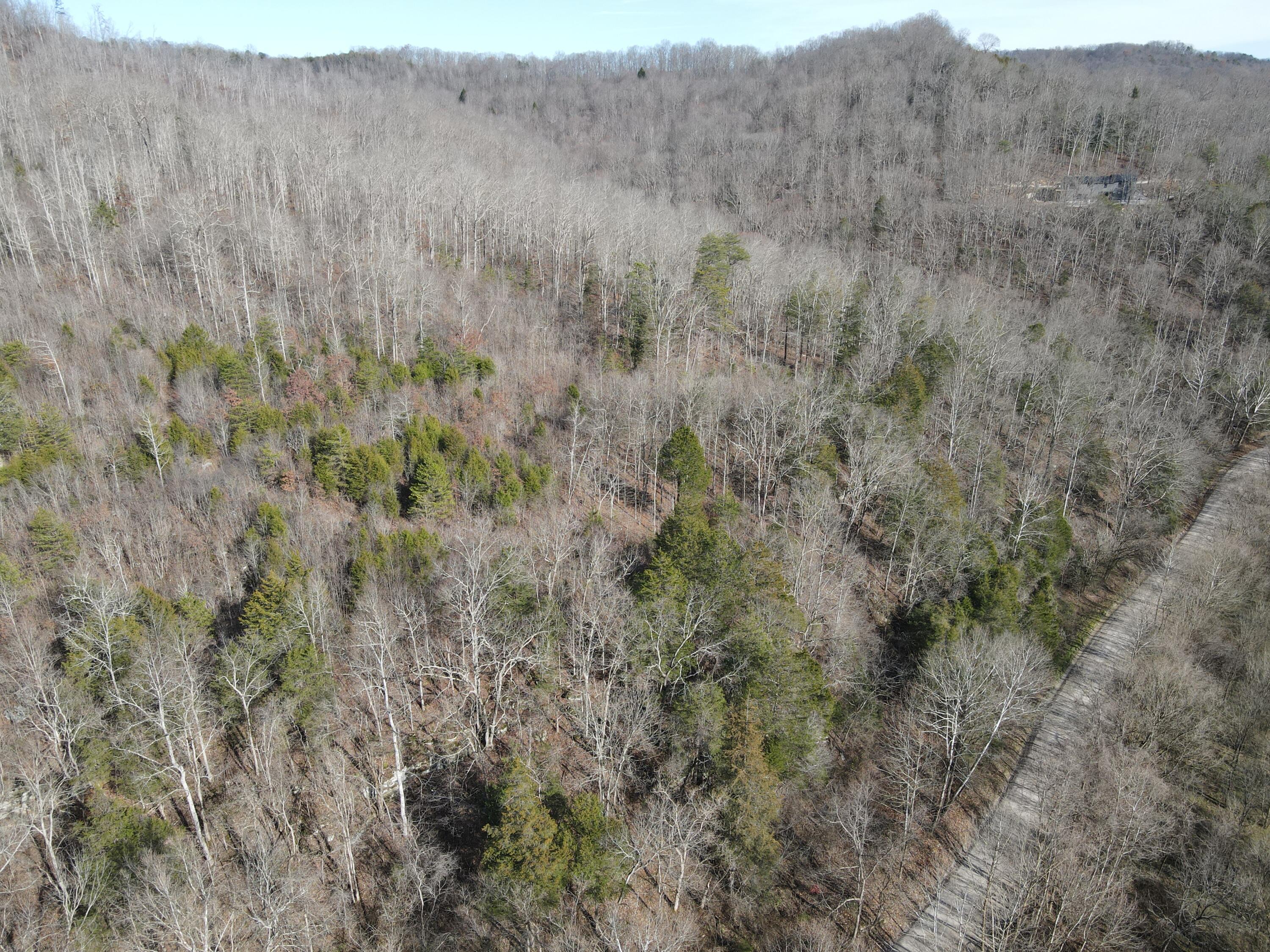 999 Mullins Station Road Livingston, KY 40445 - Photo 3 of 26 DJI_0476
