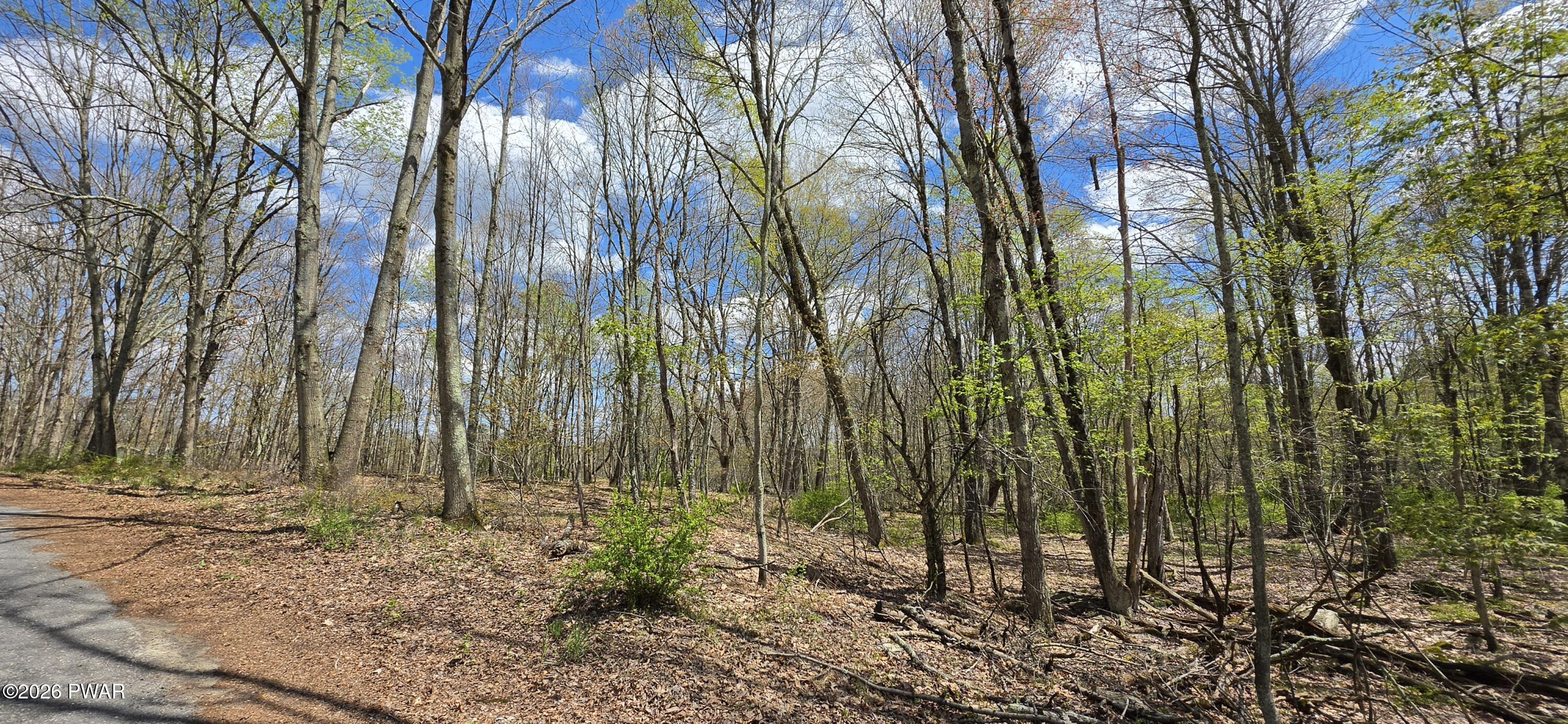 Lot 17.14 Skipperene Road Narrowsburg, NY 12764 - Photo 6 of 15