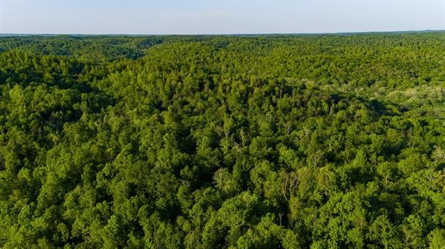 0 Lady Finger Bluff Road Linden, TN 37096 - Photo 11 of 28 Gallery Image 11