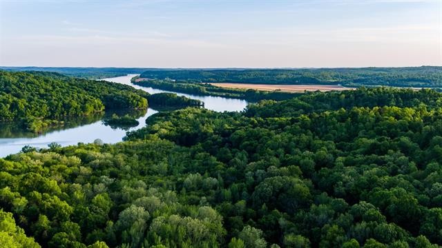 0 Lady Finger Bluff Road Linden, TN 37096 - Photo 12 of 28 Gallery Image 12