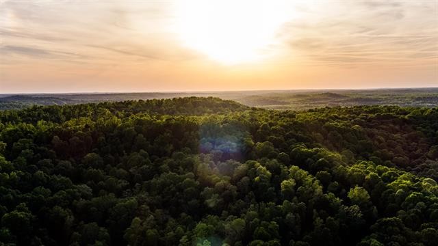 0 Lady Finger Bluff Road Linden, TN 37096 - Photo 13 of 28 Gallery Image 13