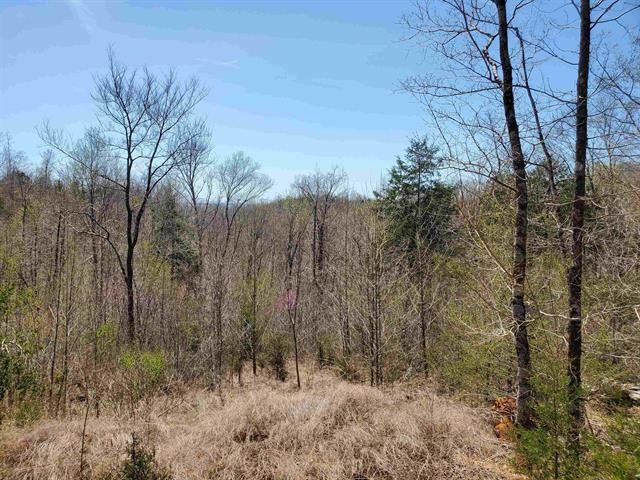 0 Lady Finger Bluff Road Linden, TN 37096 - Photo 19 of 28 Gallery Image 19