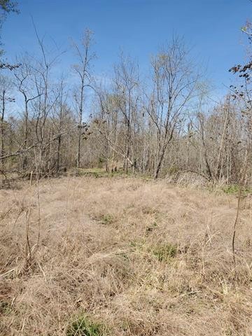 0 Lady Finger Bluff Road Linden, TN 37096 - Photo 20 of 28 Gallery Image 20